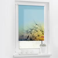 Seitenzugrollo Klemmfix Motiv Pusteblume, LICHTBLICK, Lichtschutz, ohne Bohren, freihängend