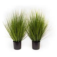 Kunstgras 'King Festuca' in Pot, 60cm