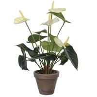 Vepa Bins Kunstbloem Anthurium, Groen/Wit