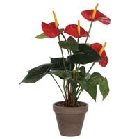 Vepa Bins Kunstbloem Anthurium, Groen/Rood