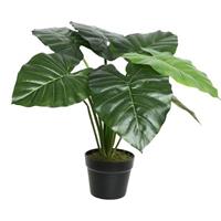 Shoppartners Groene Colocasia/taro kunstplant 52 cm in zwarte pot Groen