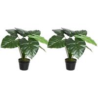 Shoppartners 2x Groene Colocasia/taro kunstplanten 52 cm in zwarte pot Groen