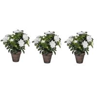 Mica Decorations 3x Groene Azalea kunstplant witte bloemen 27 cm in pot stan grey Groen