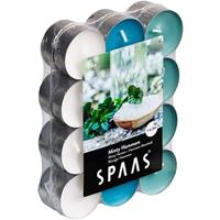 Candles by Spaas 24x Geurtheelichtjes Minty Hammam 4,5 branduren Multi