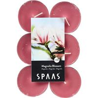 Candles by Spaas 12x Maxi geurtheelichtjes Magnolia Blossom/roze 10 branduren Roze