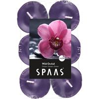 Candles by Spaas 12x Geurtheelichtjes Wild Orchid/paars 4,5 branduren Paars