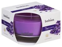 Bolsius - Duftkerze im Glas Lavendel, Höhe 6 cm, ø 9 cm Kerze Dekokerzen
