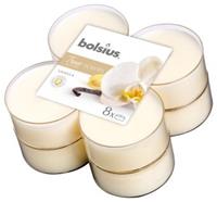 Bolsius Maxilicht geur 8 stuks True Scents Vanille