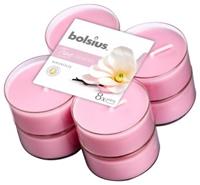 Bolsius Maxilicht geur 8 stuks True Scents Magnolia