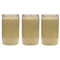 Candles by Spaas 3x Witte grafkaarsen/gedenklichten 6 x 10 cm 3 dagen Wit