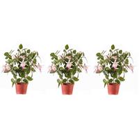 Bellatio 3x Lichtroze fuchsiaplant kunstplant 30 cm voor binnen Groen