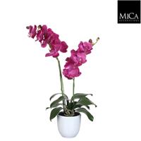 micadecorations Phalaenopsis paars in pot tusca wit d12 cm h66xd38 cm 