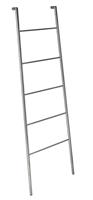 sapho Industrial stalen ladder 55x170cm gepolijst rvs