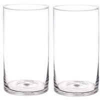 Bellatio 2x Rechte cilinder vazen glas 30 cm Transparant