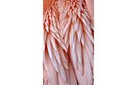 Goossens Schilderij Pink Feather, 70 x 118 cm