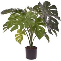 Designplants Monstera kunstplant 80