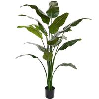 Maxi Fleur kunstplanten Designplants Traveller Palm kunstplant 165