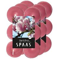 Candles by Spaas 36x Geurtheelichtjes Magnolia Blossom/roze 4,5 branduren Roze