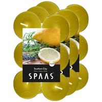 Candles by Spaas 36x Geurtheelichtjes Southern Citrus/geel 4,5 branduren Geel