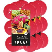 Candles by Spaas 36x Maxi geurtheelichtjes Tropical Delight/fuchsia 10 branduren Fuchsia