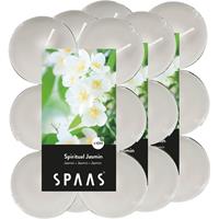 Candles by Spaas 36x Maxi geurtheelichtjes Spiritual Jasmin/wit 10 branduren Wit