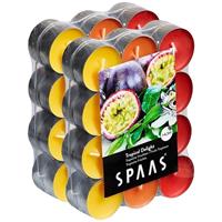 Candles by Spaas 48x Geurtheelichtjes Tropical Delight 4,5 branduren Multi