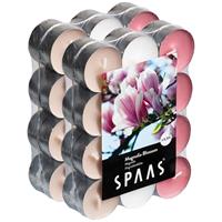 Candles by Spaas 48x Geurtheelichtjes Magnolia Blossom 4,5 branduren Multi