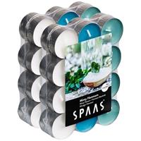 Candles by Spaas 48x Geurtheelichtjes Minty Hammam 4,5 branduren Multi