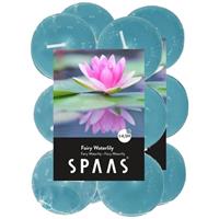 Candles by Spaas 24x Geurtheelichtjes Fairy Waterlily/blauw 4,5 branduren Blauw