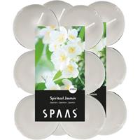 Candles by Spaas 24x Maxi geurtheelichtjes Spiritual Jasmin/wit 10 branduren Wit