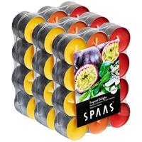 Candles by Spaas 72x Geurtheelichtjes Tropical Delight 4,5 branduren Multi