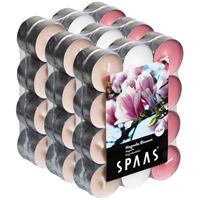 Candles by Spaas 72x Geurtheelichtjes Magnolia Blossom 4,5 branduren Multi