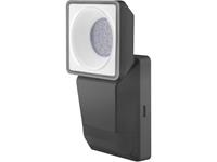 Ledvance ENDURA PRO SPOT SENSOR 8W 840 IP55 DG 4058075228887 LED-buitenschijnwerper Koud-wit Donkergrijs (mat)