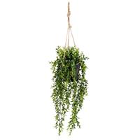 Emerald Kunstpflanze Buchsbaum Hängend in Topf 50 cm Grün