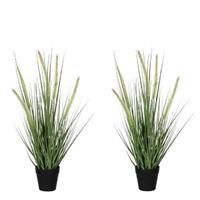 Mica Decorations 2x Groene Dogtail/siergras kunstplanten 53 cm in zwarte pot Groen