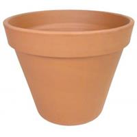 plantenwinkel.nl Terracotta bloempot 50 cm