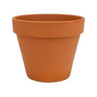 plantenwinkel.nl Terracotta bloempot 11 cm