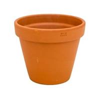 plantenwinkel.nl Terracotta bloempot 21 cm