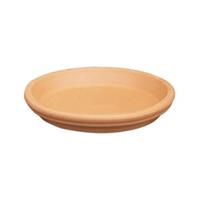 plantenwinkel.nl Terracotta schotel 21 cm