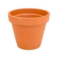 plantenwinkel.nl Terracotta bloempot 23 cm