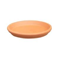 plantenwinkel.nl Terracotta schotel 25 cm