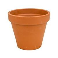 plantenwinkel.nl Terracotta bloempot 25 cm