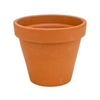 plantenwinkel.nl Terracotta bloempot 25 cm