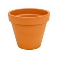 plantenwinkel.nl Terracotta bloempot 28 cm