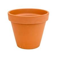 plantenwinkel.nl Terracotta bloempot 30 cm