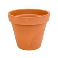 plantenwinkel.nl Terracotta bloempot 31 cm