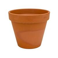 plantenwinkel.nl Terracotta bloempot 35 cm