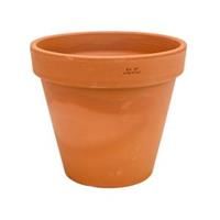 plantenwinkel.nl Terracotta bloempot 38 cm