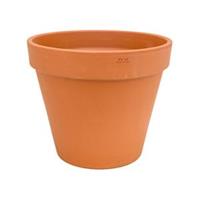 plantenwinkel.nl Terracotta bloempot 43 cm