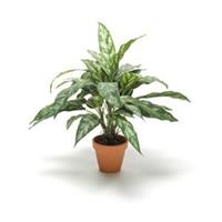 plantenwinkel.nl Kunstplant Aglaonema in pot